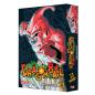 Preview: Manga: Dragon Ball Massiv 13