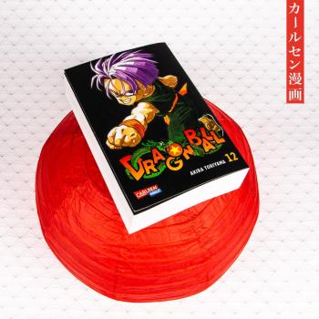 Manga: Dragon Ball Massiv 12