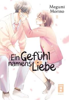 Manga: Ein Gefühl namens Liebe 11