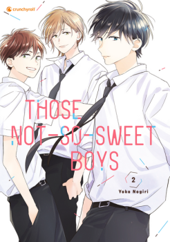 Manga: Those Not-So-Sweet Boys – Band 2