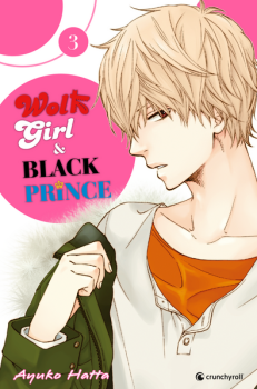 Manga: Wolf Girl & Black Prince 03