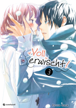 Manga: Voll erwischt! 03