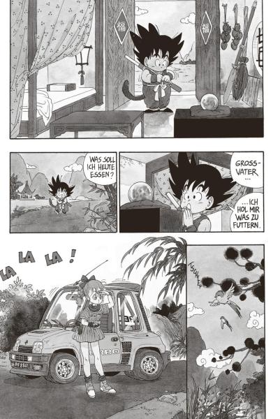 Manga: Dragon Ball Massiv 01