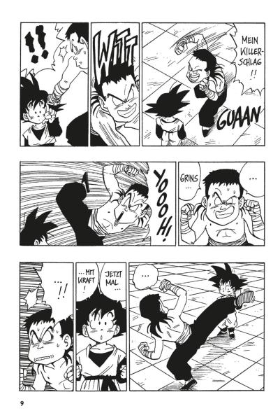 Manga: Dragon Ball Massiv 13