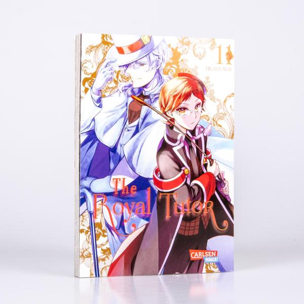 Manga: The Royal Tutor 11